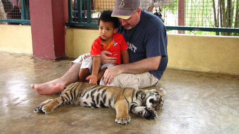 ChiangMai_TigerKingdom_20110227_005.JPG - Tiger Kingdom