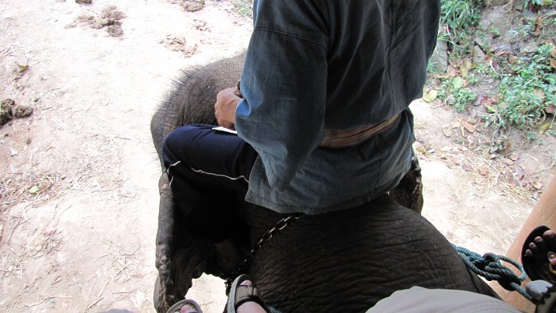 Sikrit_BotanicalGardens_20110227_015.JPG - Queen Sikrit Botanical Gardens